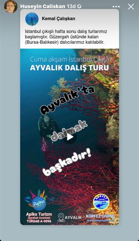 veodersti.rgarabwor.edu.pl. 