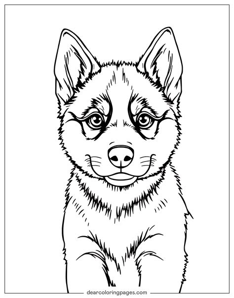 Husky Coloring Pages