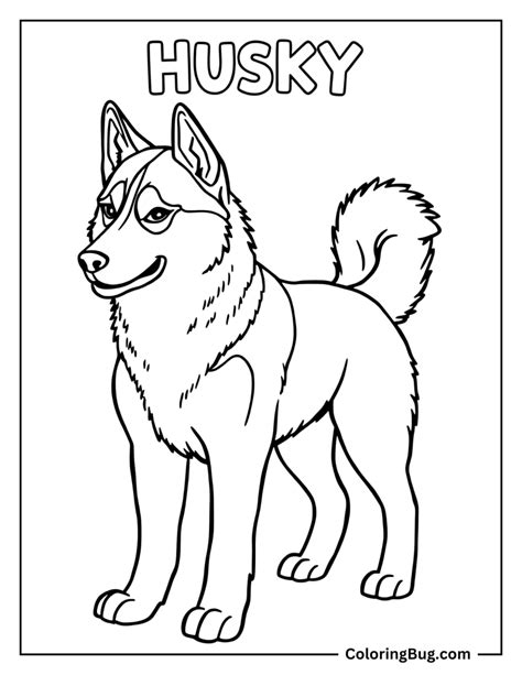 Meditation Coloring Pages