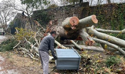 Husnuguzel Halı ve Koltuk Yıkama