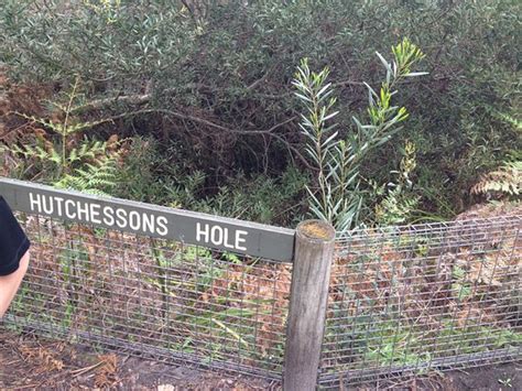 Hutchinson's hole. Things To Know About Hutchinson's hole. 