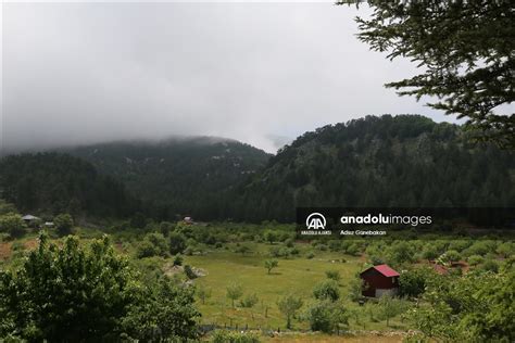 Huzurlu Halı ve Koltuk Yıkama