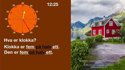 Hvorfor dunker min skede