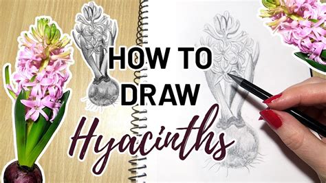 Hyacinth Drawing Tutorial How to Draw Christmas Flowers YouTube