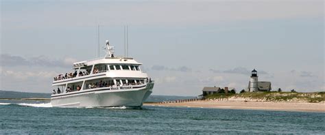 Hyannis whale watch. 20% Off on Orders. Expired on 20-October-2019. 25% Off on Orders. Expired on 20-October-2019. Save money with hyannis whale watcher cruises discount and coupon codes. hyannis whale watcher cruises February 2024 offers and deals are live to help you save money up to 15% OFF. 