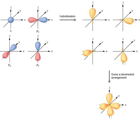 Hybrid Atomic Orbitals UCalgary Chemistry Textbook