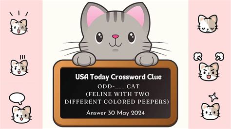 Hybrid feline crossword clue