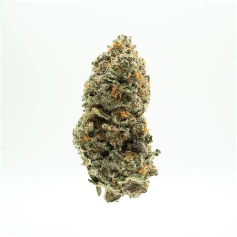 Find information about the AGL 3.5g Hybridol CM 26.50% 20235 strain from Advanced Grow Labs such as potency, common effects, and where to find it. This hybrid flower contains a total THC of 26.50%. Uses 3.5g of allotment. Total Terpenes: 2.08 % a-Pinene 0.11% Camphene 0.02% ß-Myrcene 0.14% ß-Pinene 0.12% Limonene 0.54% Ocimene 0.67% Linalool ...