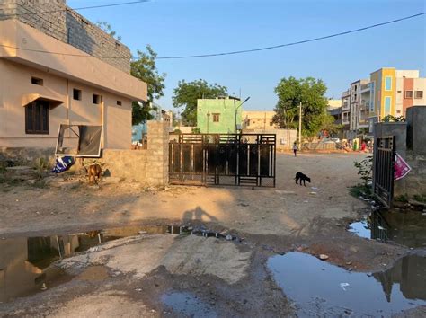 Hyderabad: Residents turn GHMC park into Gaushala - The …