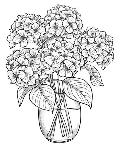 Hydrangea Coloring Pages