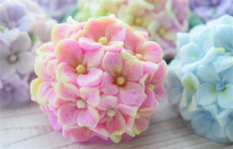 Hydrangea Mold - Etsy