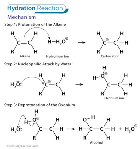 Hydration organic chemistry.  Water is one of the reactants that is transfor...