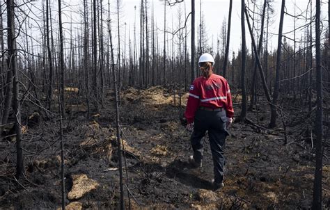 Hydro-Québec workers, vulnerable Cree community members evacuated due to wildfires