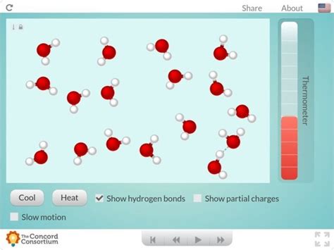 Hydrogen Bonds: A Special Type of Attraction