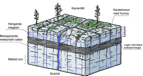 Hydrogeologiska förutsättningar för reduktion av lakvattenbildningen vid avfallsupplag. - Ni el árbol ni la piedra.