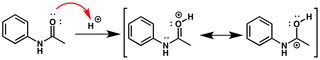 Hydrolysis of Acetanilide: Mechanism & Explanation - Study.com