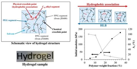 Hydrophobically-Modified PEG Hydrogels with Controllable …