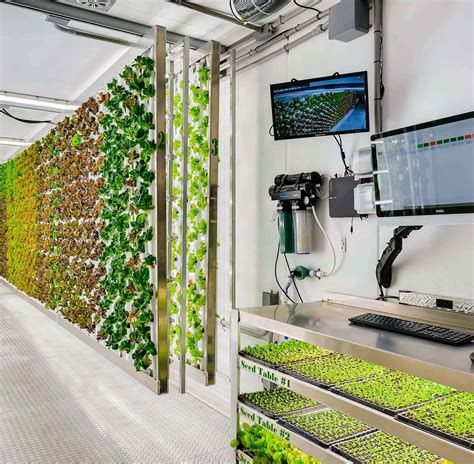 Hydroponic Container Farms and Mushroom Farms