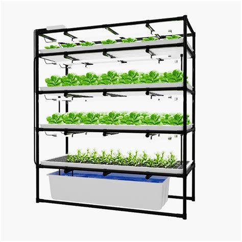 Hydroponic Growing Trays