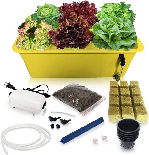 Hydroponic Supplies: Everything You Need to Grow Plants in Your …