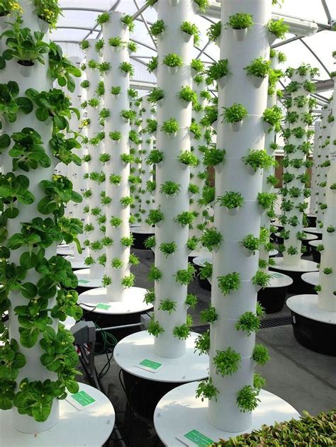 Hydroponic garden tower. In a hydroponic garden all vaporized humidity is caught into water circulation to be reused directly by the roots. Grow Up to 40% More Healthy Food, 3x Faster Using Aeroponics + NFT: The hydroponic tower garden grows plants with only water and nutrients. Our hydroponic systems can grow plants 3X faster and produce 40% greater yields on average. 