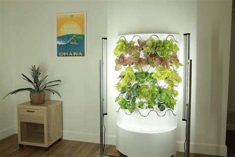 Hydroponic gardening indoor. Oct 9, 2023 ... The Growgreen Smart Indoor Garden uses a full spectrum LED light that provides the optimum amount of light for growing plants indoors. This ... 