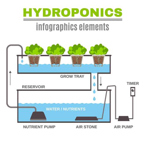 Hydroponic handbook how hydroponic growing systems work. - Lehrbuch der rationellen praxis der landwirthschaftlichen gewerbe.