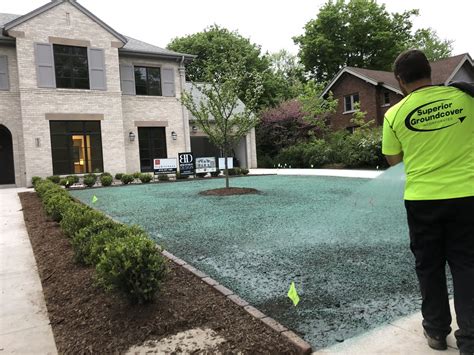 Hydroseed. Hydroseeding, or hydro mulching, is one of the most advanced methods for planting new grass seed, as it enhances the new grass seed with added nutrients from the second it’s applied. The average hydroseeding cost is between $0.06 to $0.20 per square foot of yard plus labor costs. Depending on the size of the yard and labor costs, … 