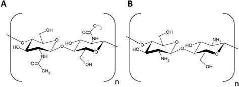 Hydroxyapatite-hybridized chitosan/chitin whisker bionanocomposite ...