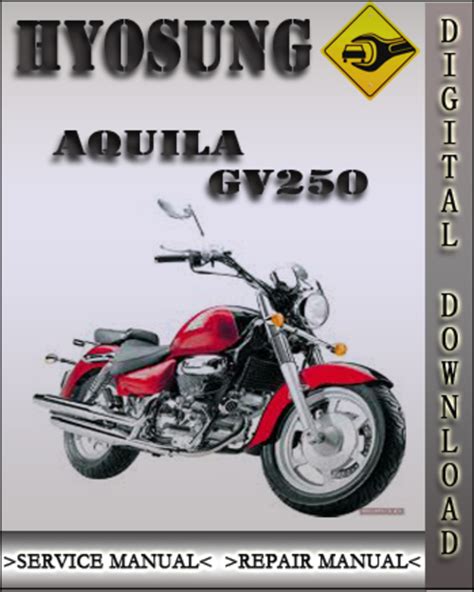 Hyosung aquila gv250 factory service repair manual. - Photographic guide to the birds of namibia.