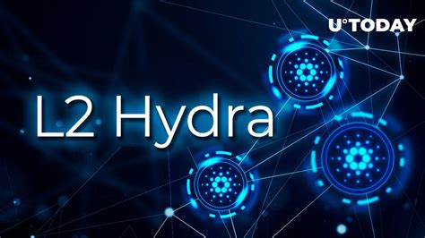 solutions hydra example