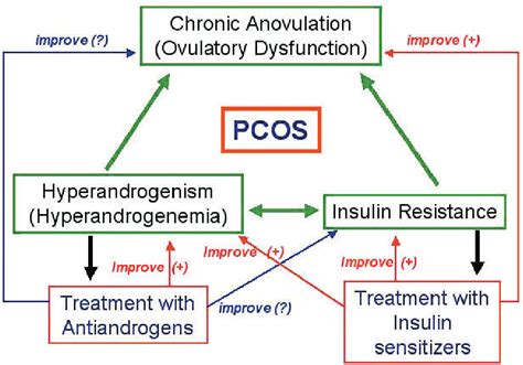 Hyperinsulinism and polycystic ovary syndrome (PCOS): role