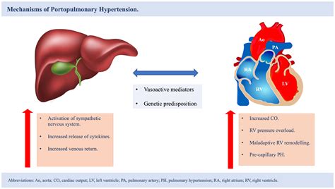 Hypertension and liver disease - PubMed