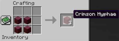 Hyphae Block in Minecraft