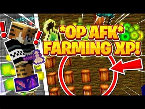 Hypixel skyblock afk farms.  Also nerf mining admins pls its too op and...