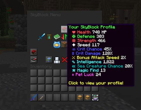 SkyCrypt. SkyCrypt is a free open-source stats viewer for Hypixel SkyBlock. You can report bugs, suggest features, or contribute to the code on GitHub. It would be much appreciated! Join our community on Discord! Help keep SkyCrypt ad free by donating on Patreon! The original project, sky.lea.moe, was orginally created by LeaPhant.. 