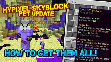 Hypixel skyblock pet generator.  please fix negative strength because of the Sou...