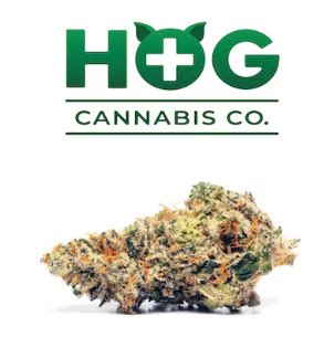 With XL yields and 22%THC, this strain will grace any grow space with its perfect presence and in 8-9 weeks from seed will provide exotically colorful and tempting tasty buds. …. 