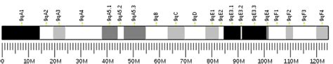 Hypocretin (orexin) receptor 2 - Wikipedia