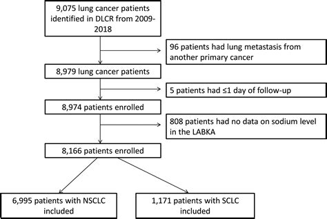 Hyponatremia in lung cancer: Incidence and prognostic value in a Danish ...