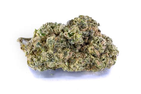 Hypothermia Cannabis Strain is an Indica dominant hybrid cannabis strain that is a cross between three other strains: White Widow, AK-47, and Blueberry. The …. 