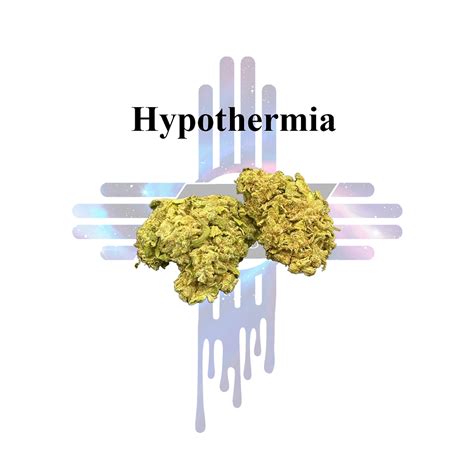 Hypothermia strain leafly. Hypothermia’s effects are often said to balance intense euphoria with slight sedation – an enjoyable strain for the late afternoon. Flower is the most commonly used form of cannabis, made from buds that have been trimmed, dried, and cured. 