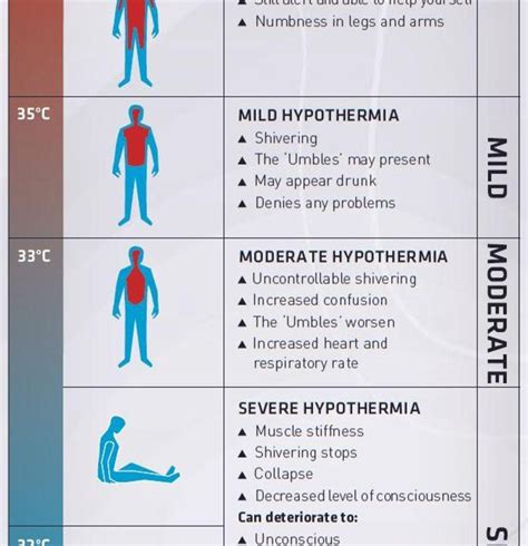 Hypothermic vs hyperthermic. Comparison of the response during hypothermic vs. hyperthermic conditions . The response (dobutamine-baseline) at 35 °C was compared to the response at 38 °C for vessel areas and strain. The change in areas for all locations at 35 and 38 °C is shown from head-to-toe in Figure 4. The response to dobutamine as measured by area varied between ... 