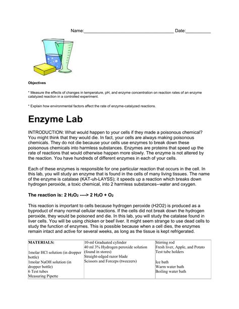 Hypothesis for enzyme lab.  Use a 15.  Students will gain an understanding of enzyme...