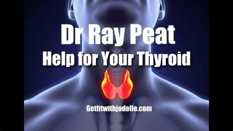 Hypothyroid-Need Your Ideas And Advice Ray Peat Forum