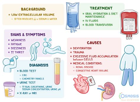 Hypovolemia (dehydration): Causes, Symptoms, Treatment - Medicine.…