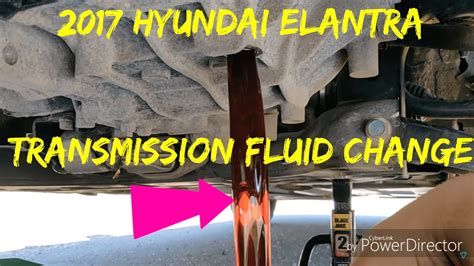 Hyundai elantra manual transmission fluid capacity. - Usufrutto e diritti affini (c. d. servitù personali).