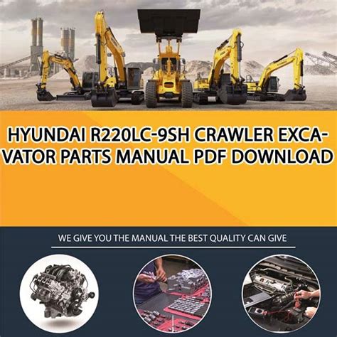 Hyundai r220lc 9sh crawler excavator service repair manual. - Vermehrung und entwicklung in natur und gesellschaft.