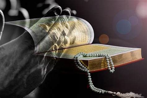 veodersti.rgarabwor.edu.pl. 