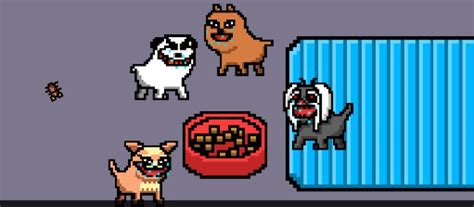 I Became A Dog Walkthrough: A Guide to All the Five Possible …